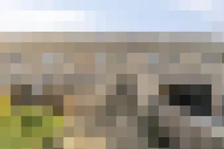 Chopinstraat 142 Capelle aan den IJssel thumbnail 22