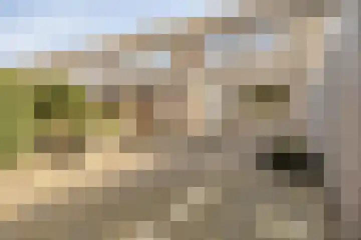 Chopinstraat 142 Capelle aan den IJssel thumbnail 24
