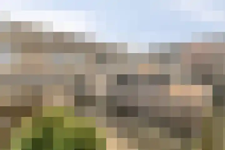 Chopinstraat 142 Capelle aan den IJssel thumbnail 28