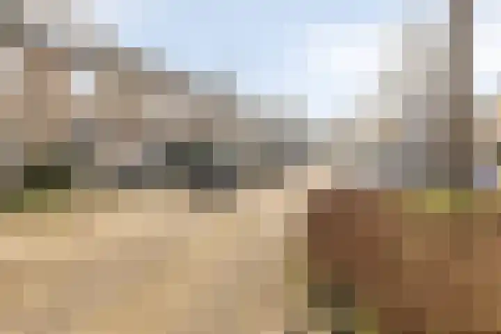 Chopinstraat 142 Capelle aan den IJssel thumbnail 33