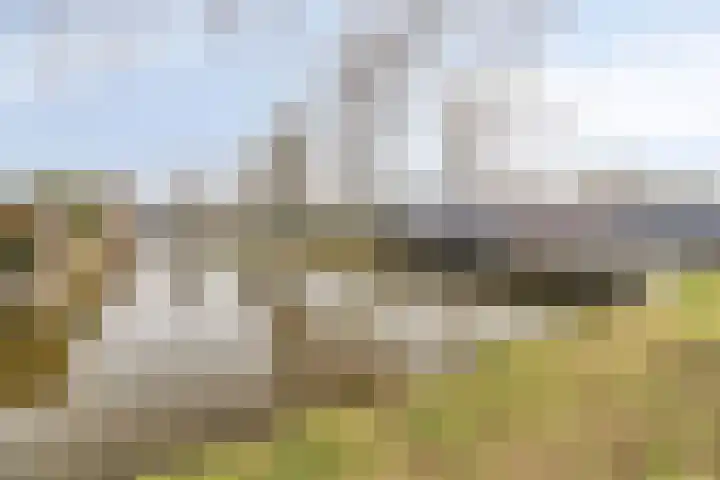 Chopinstraat 142 Capelle aan den IJssel thumbnail 36