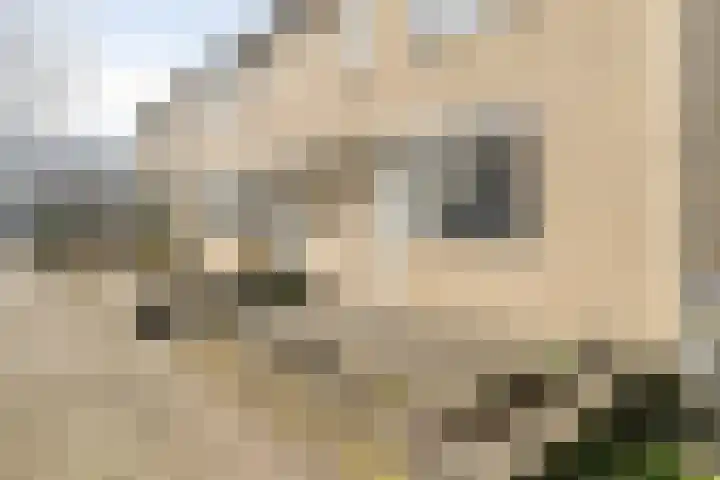 Chopinstraat 142 Capelle aan den IJssel thumbnail 5