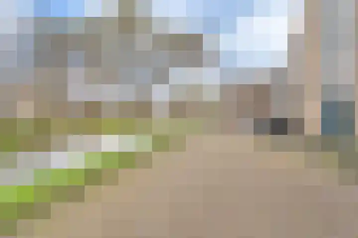 Chopinstraat 143 Capelle aan den IJssel thumbnail 4