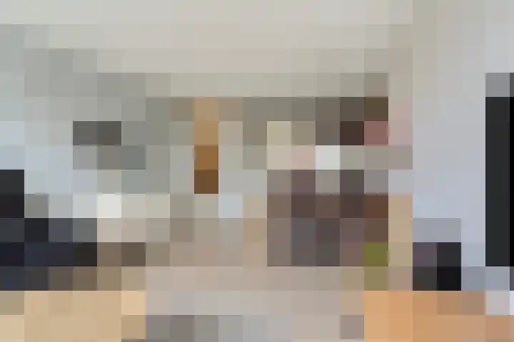 Chopinstraat 147 Capelle aan den IJssel thumbnail 4