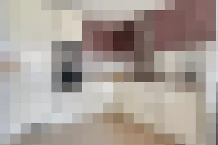 Chopinstraat 147 Capelle aan den IJssel thumbnail 5