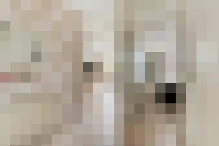 Chopinstraat 147 Capelle aan den IJssel thumbnail 9