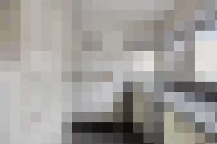 Chopinstraat 15 Haaksbergen thumbnail 17