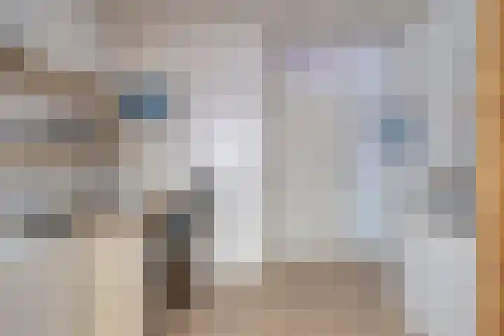Chopinstraat 15 Haaksbergen thumbnail 29