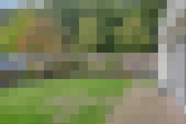 Chopinstraat 15 Haaksbergen thumbnail 33