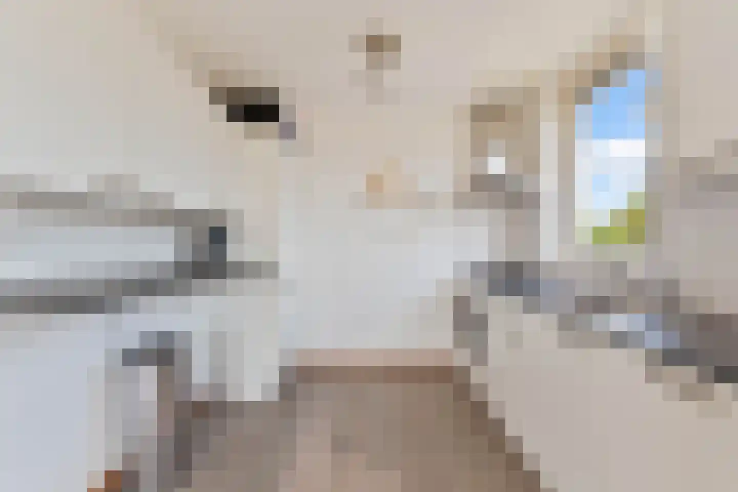Chopinstraat 159 Capelle aan den IJssel thumbnail 6
