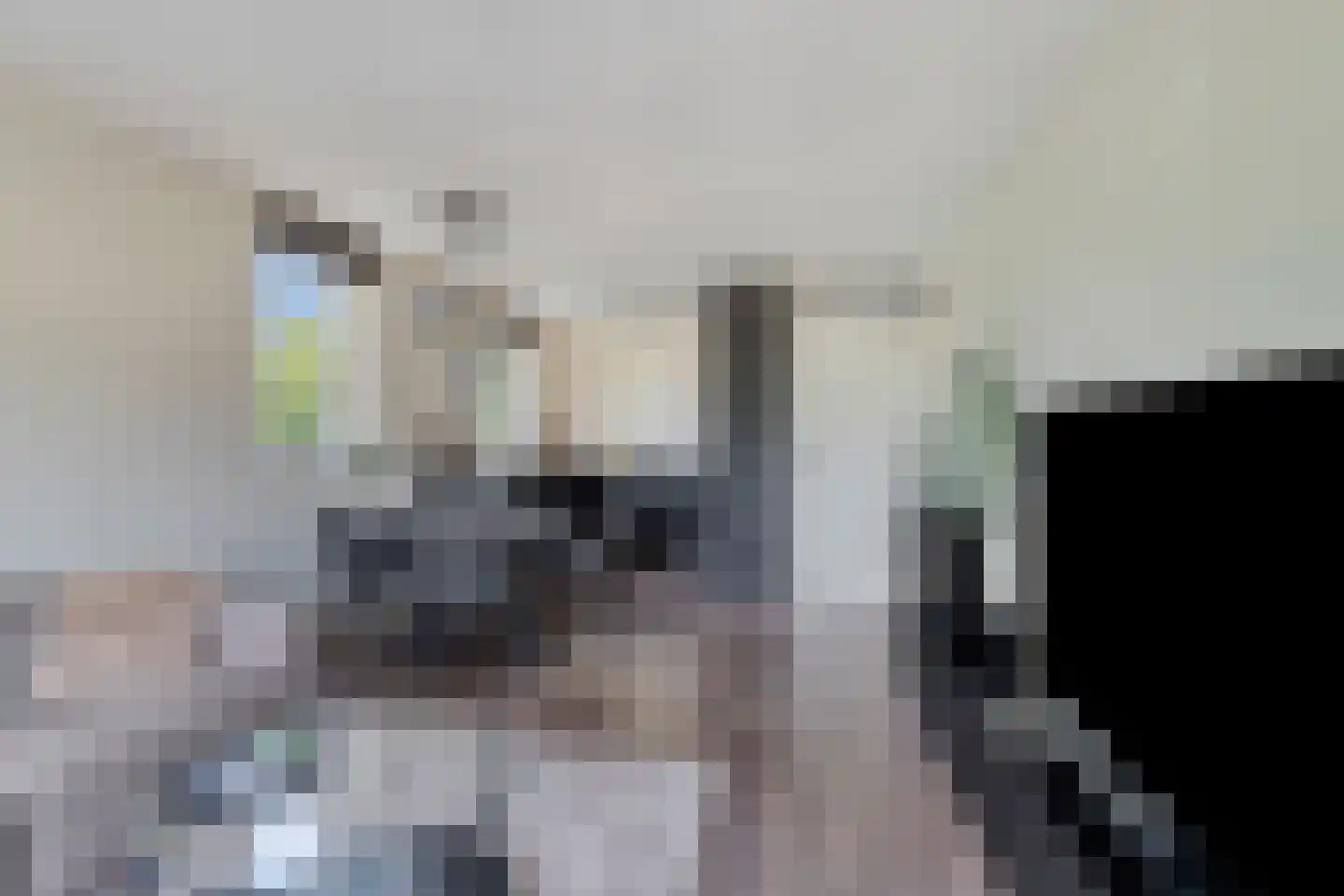 Chopinstraat 163 Capelle aan den IJssel thumbnail 4