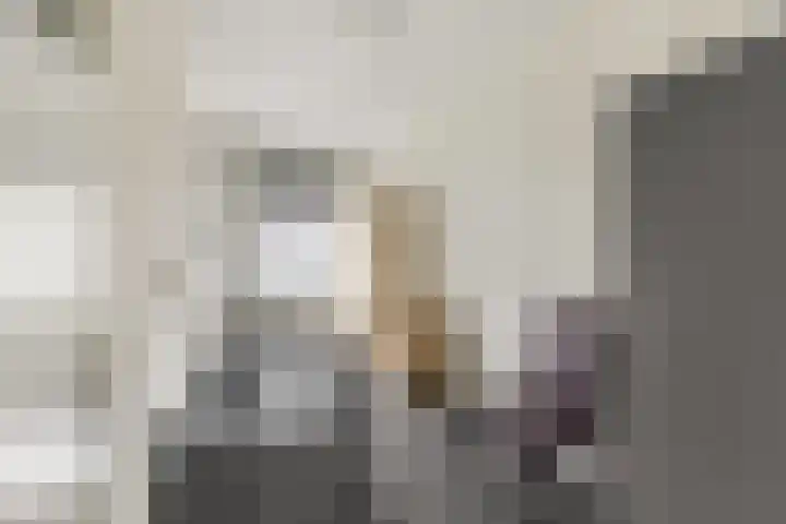 Chopinstraat 17 A Vlaardingen thumbnail 19
