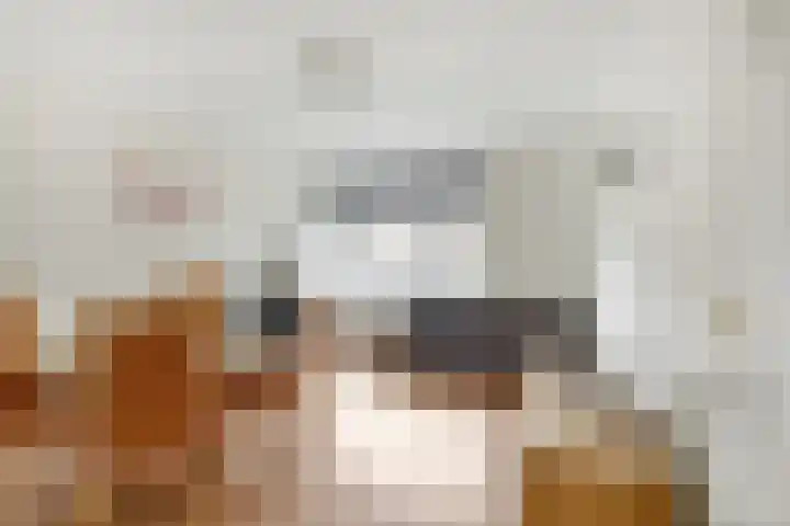 Chopinstraat 17 A Vlaardingen thumbnail 6