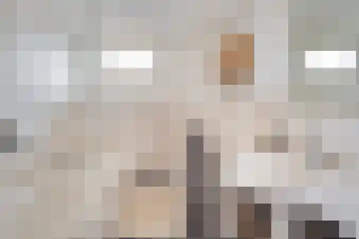 Chopinstraat 17 Schijndel thumbnail 25