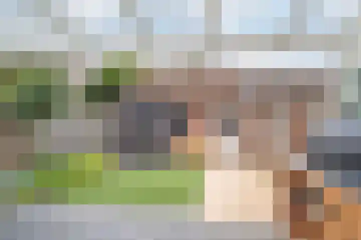Chopinstraat 17 Schijndel thumbnail 32
