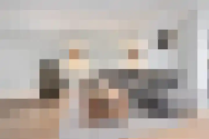 Chopinstraat 17 Schijndel thumbnail 8