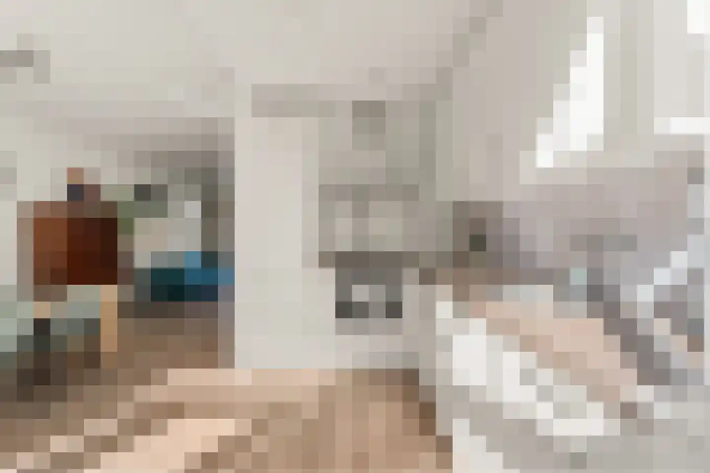 Chopinstraat 17 Utrecht thumbnail 19