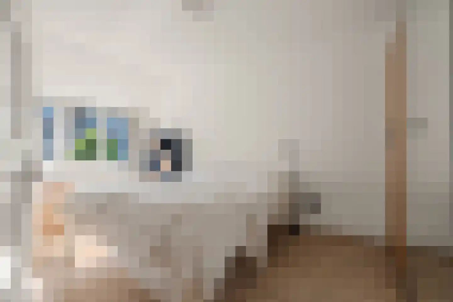 Chopinstraat 17 Utrecht thumbnail 22