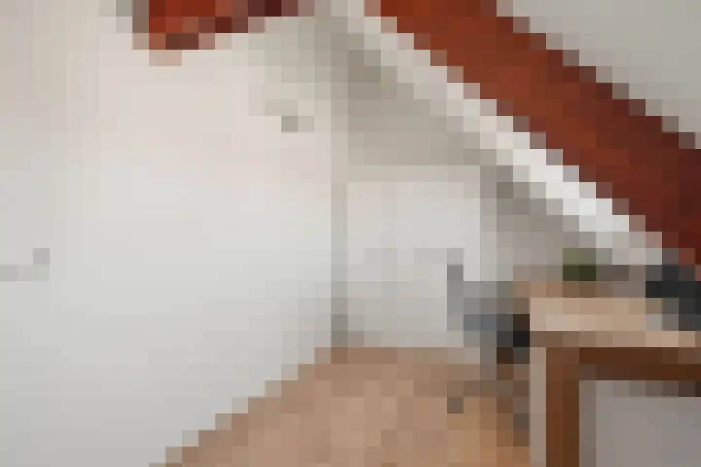 Chopinstraat 17 Utrecht thumbnail 34