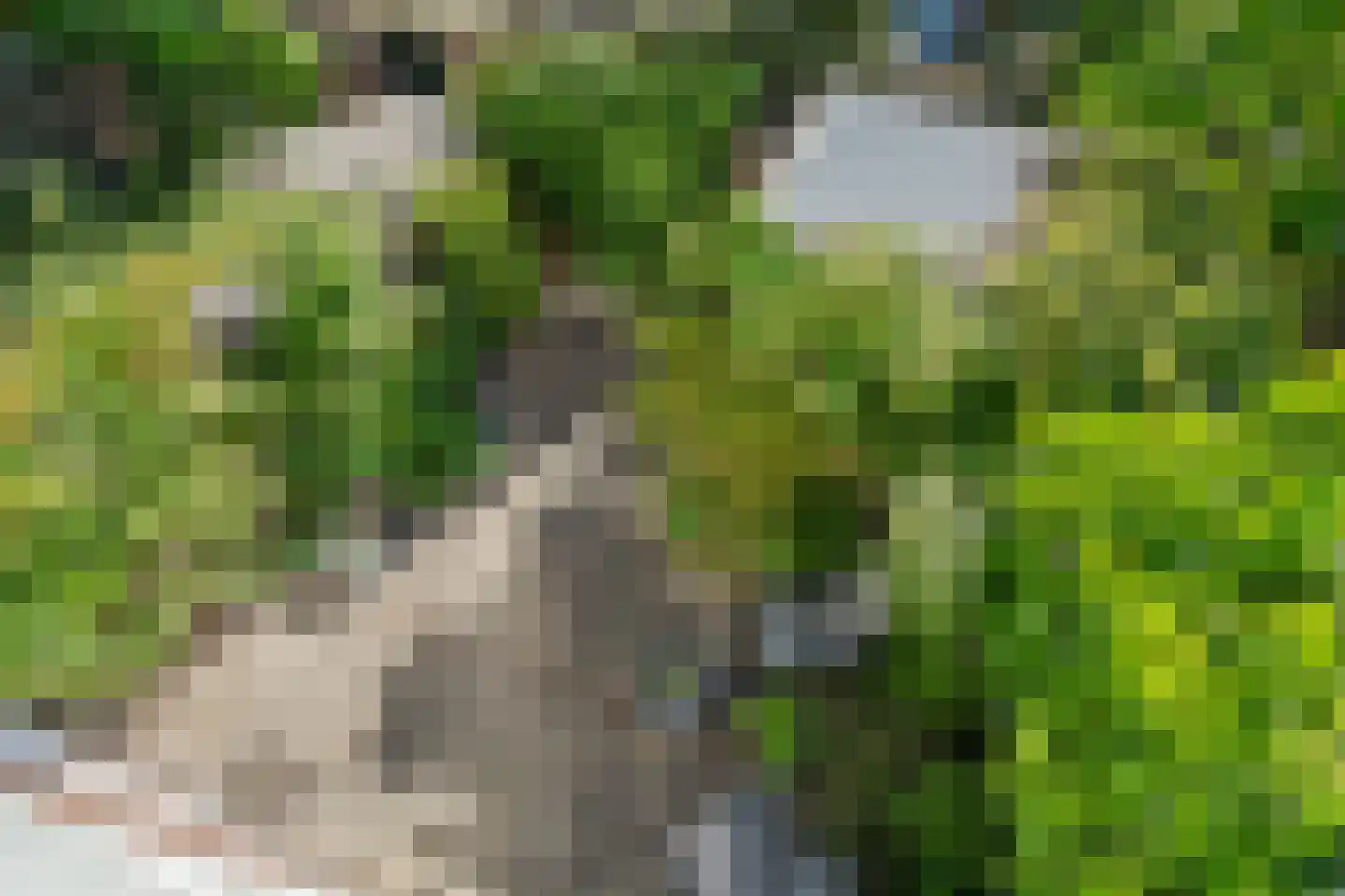 Chopinstraat 17 Utrecht thumbnail 39