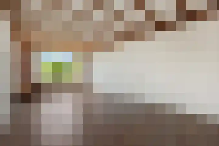 Chopinstraat 18 Deurne thumbnail 11