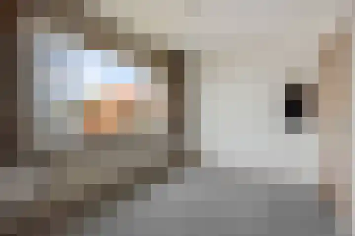 Chopinstraat 18 Deurne thumbnail 19