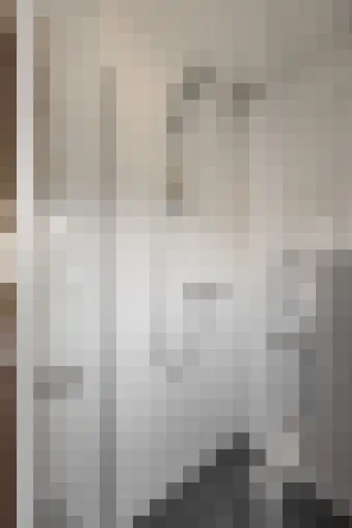 Chopinstraat 18 Deurne thumbnail 23