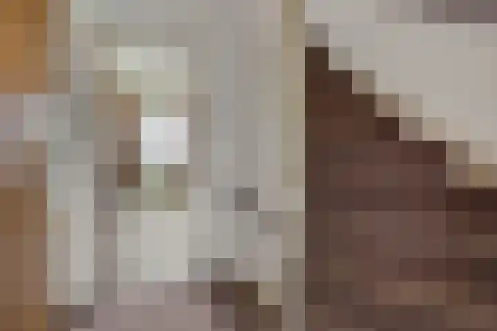 Chopinstraat 18 Deurne thumbnail 24