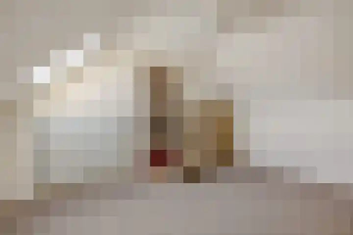 Chopinstraat 18 Deurne thumbnail 27
