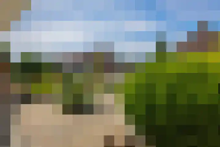 Chopinstraat 18 Deurne thumbnail 34