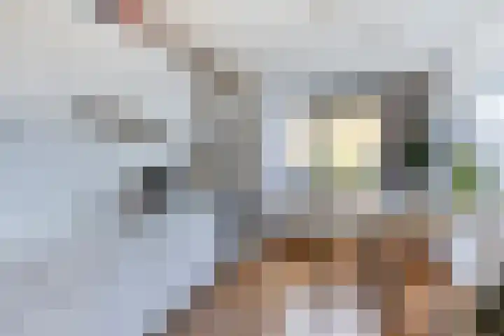 Chopinstraat 19 Capelle aan den IJssel thumbnail 10