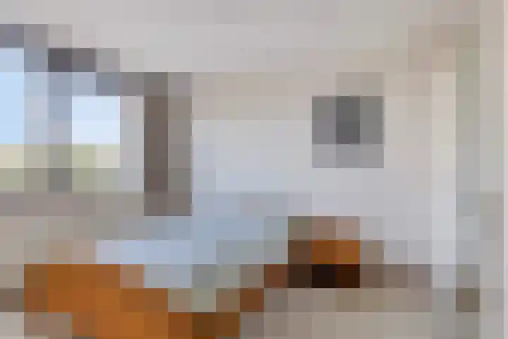 Chopinstraat 19 Capelle aan den IJssel thumbnail 12