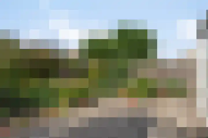 Chopinstraat 19 Capelle aan den IJssel thumbnail 19