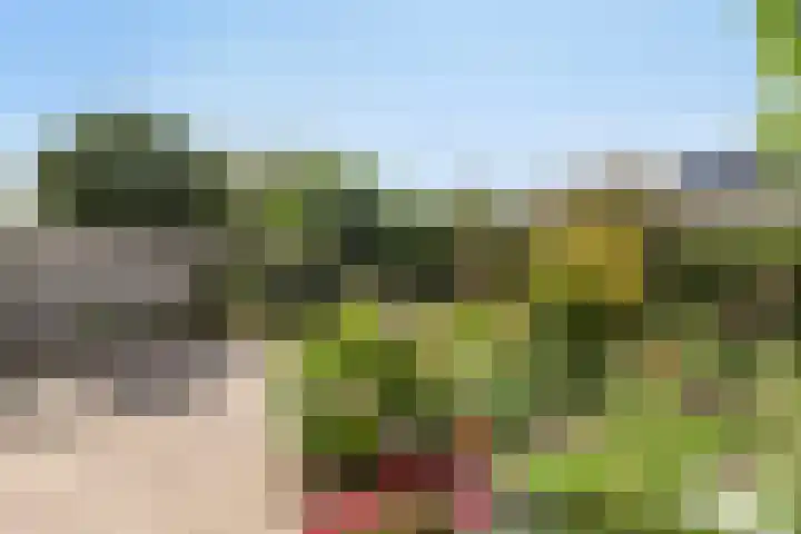 Chopinstraat 19 Capelle aan den IJssel thumbnail 4