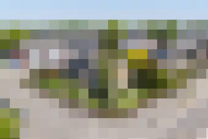 Chopinstraat 2 Eerbeek thumbnail 30