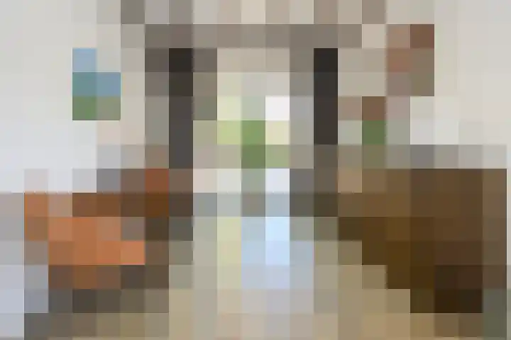 Chopinstraat 2 Eerbeek thumbnail 7