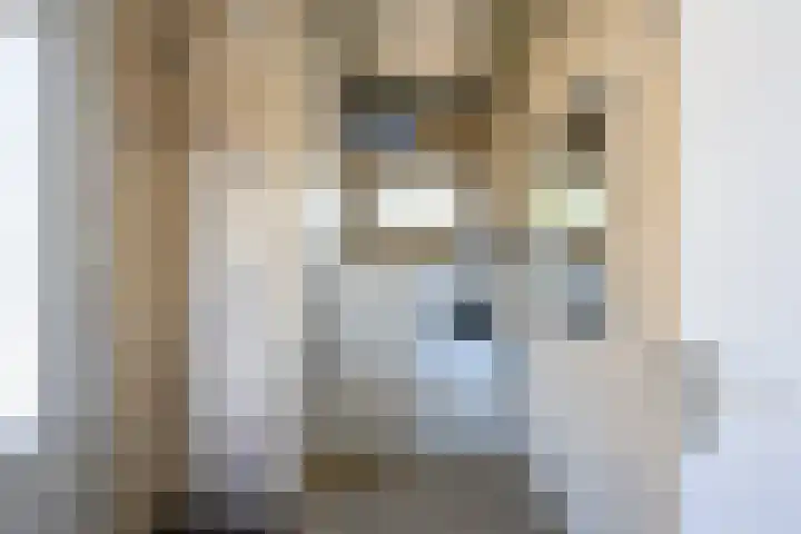 Chopinstraat 2 Eerbeek thumbnail 9