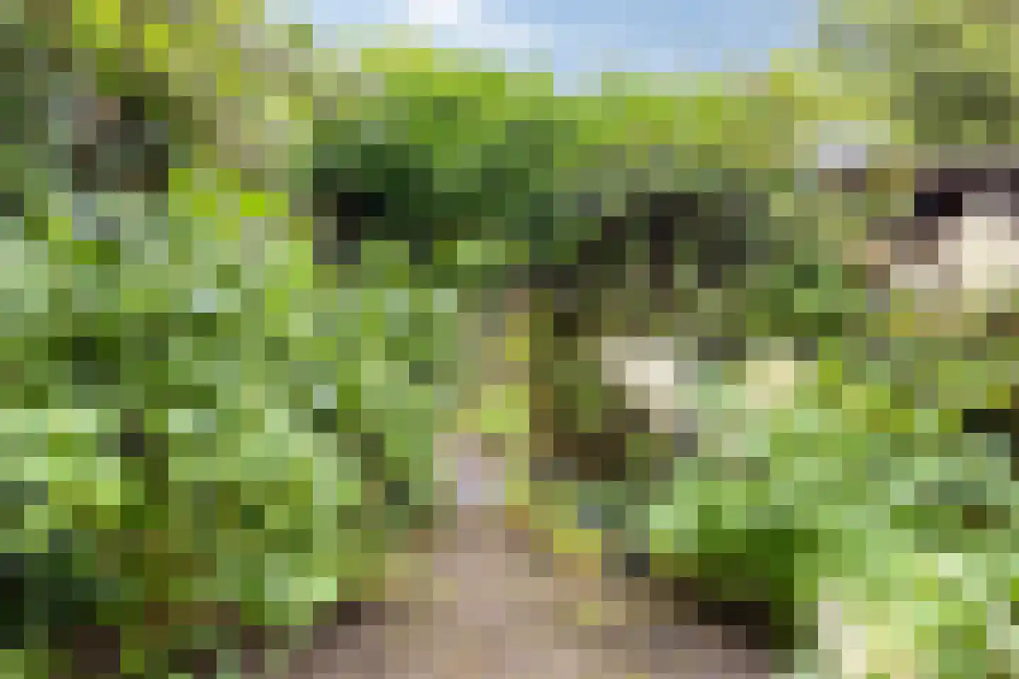Chopinstraat 2 Zutphen thumbnail 25