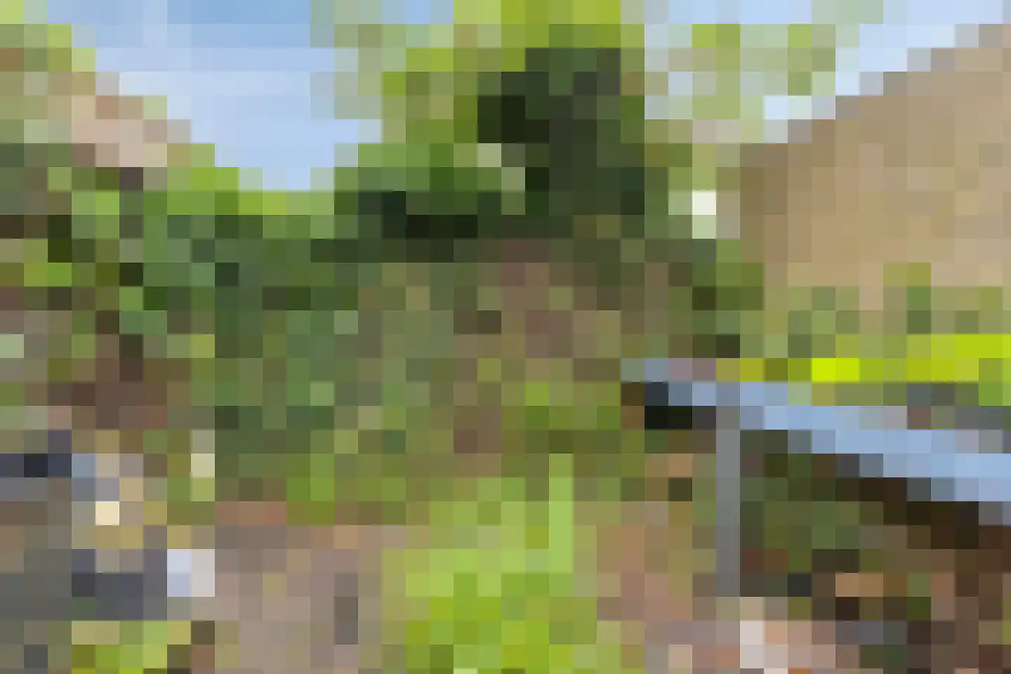 Chopinstraat 2 Zutphen thumbnail 26