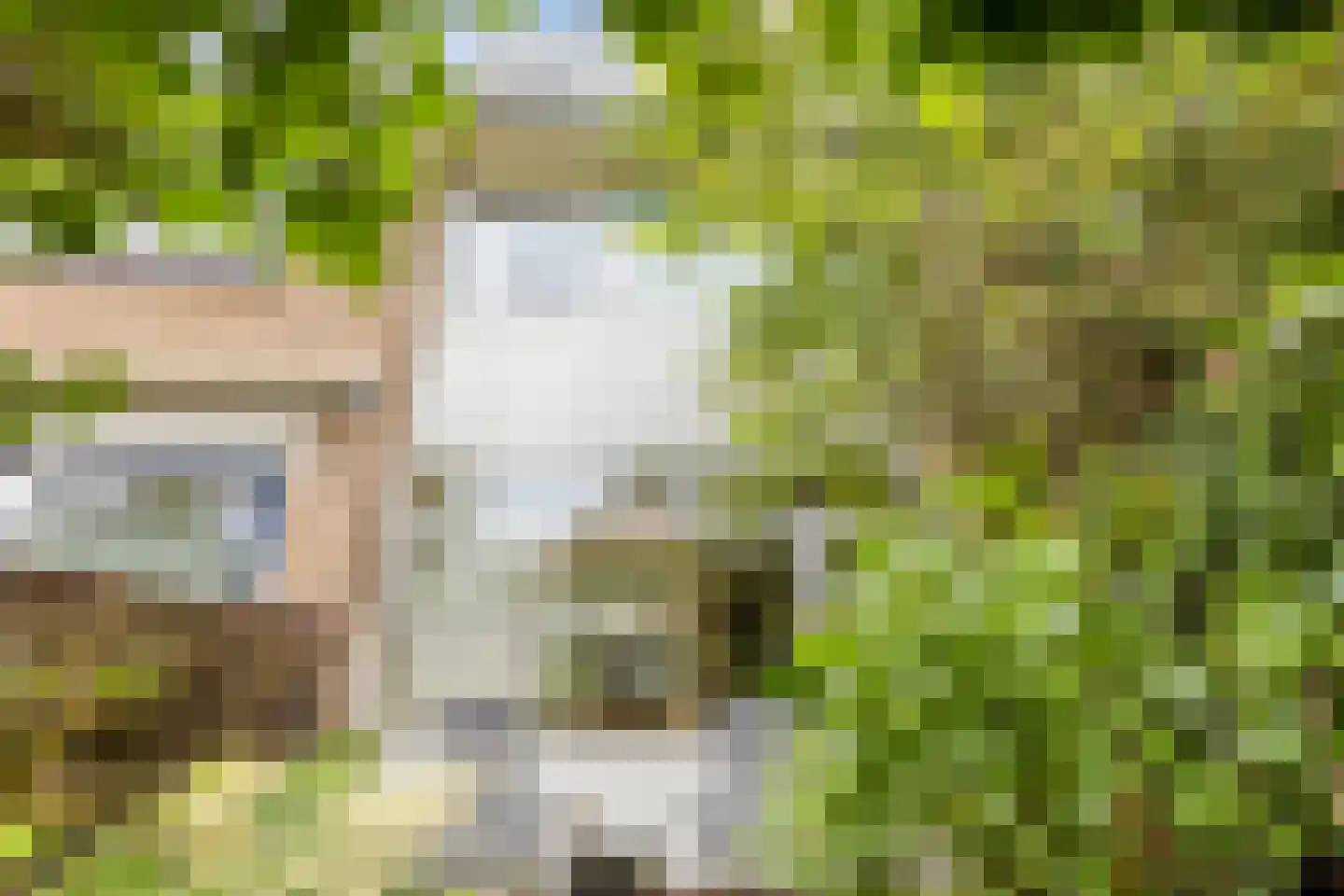 Chopinstraat 2 Zutphen thumbnail 27