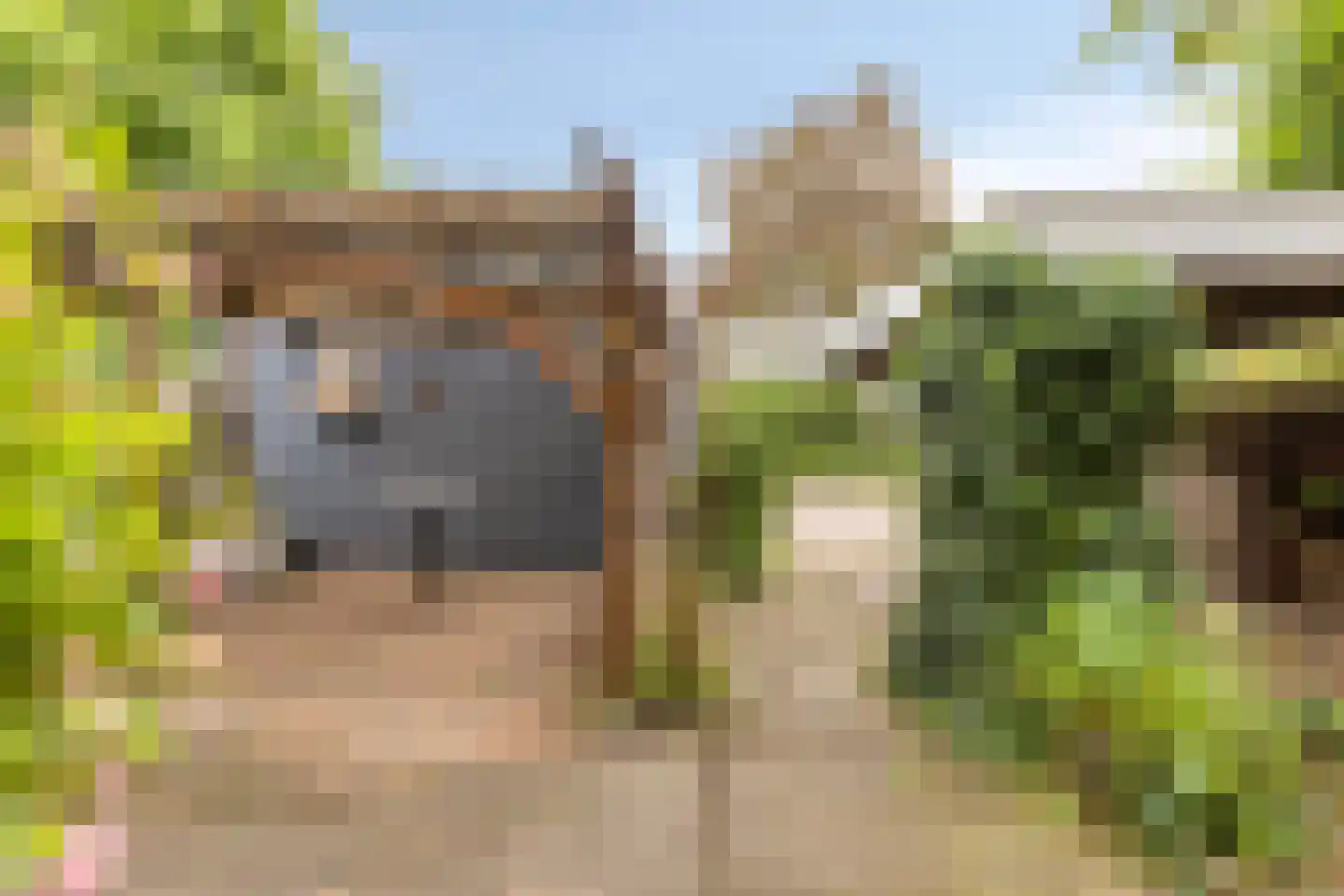 Chopinstraat 2 Zutphen thumbnail 4