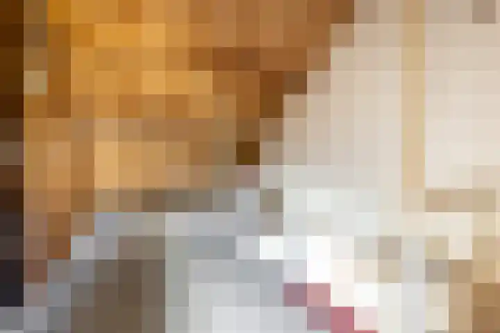 Chopinstraat 20 Castricum thumbnail 20