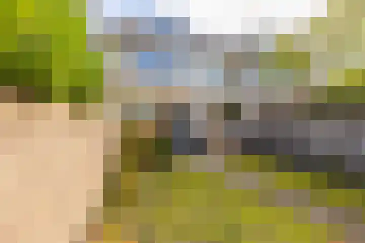 Chopinstraat 20 Castricum thumbnail 24