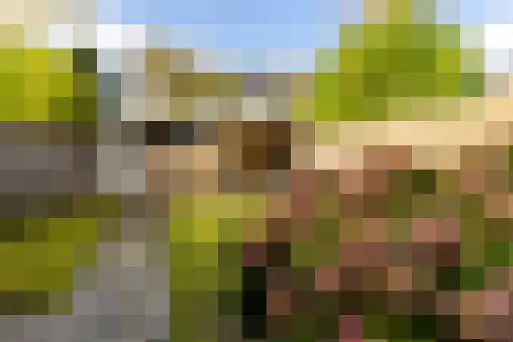 Chopinstraat 20 Castricum thumbnail 25