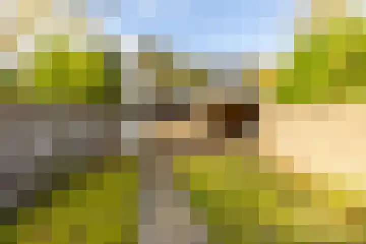 Chopinstraat 20 Castricum thumbnail 26