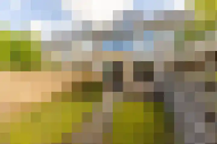 Chopinstraat 20 Castricum thumbnail 27