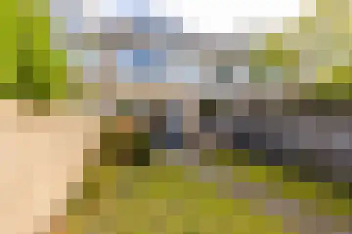 Chopinstraat 20 Castricum thumbnail 28