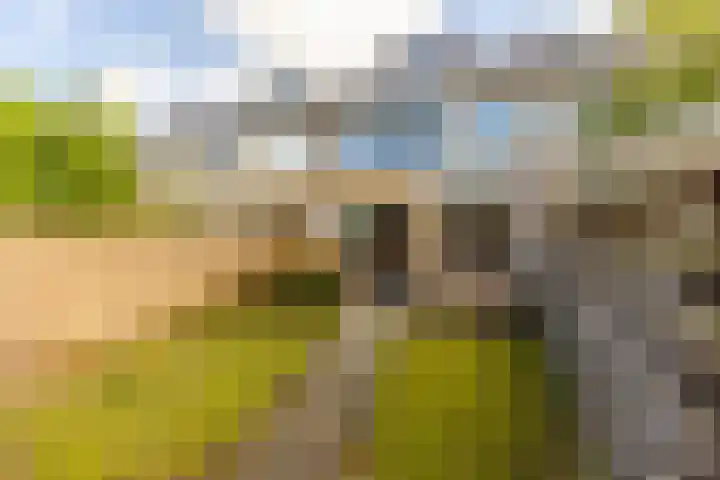 Chopinstraat 20 Castricum thumbnail 29