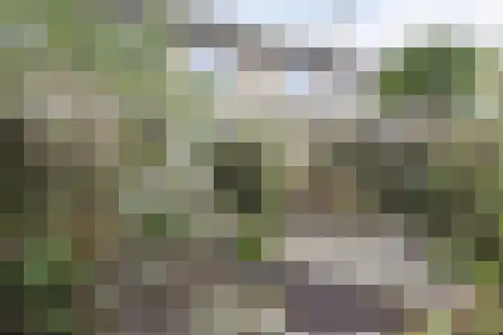 Chopinstraat 201 Capelle aan den IJssel thumbnail 24