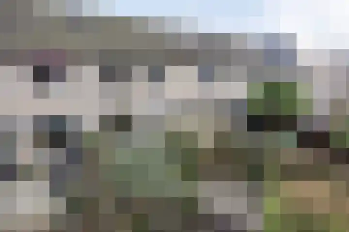 Chopinstraat 201 Capelle aan den IJssel thumbnail 25